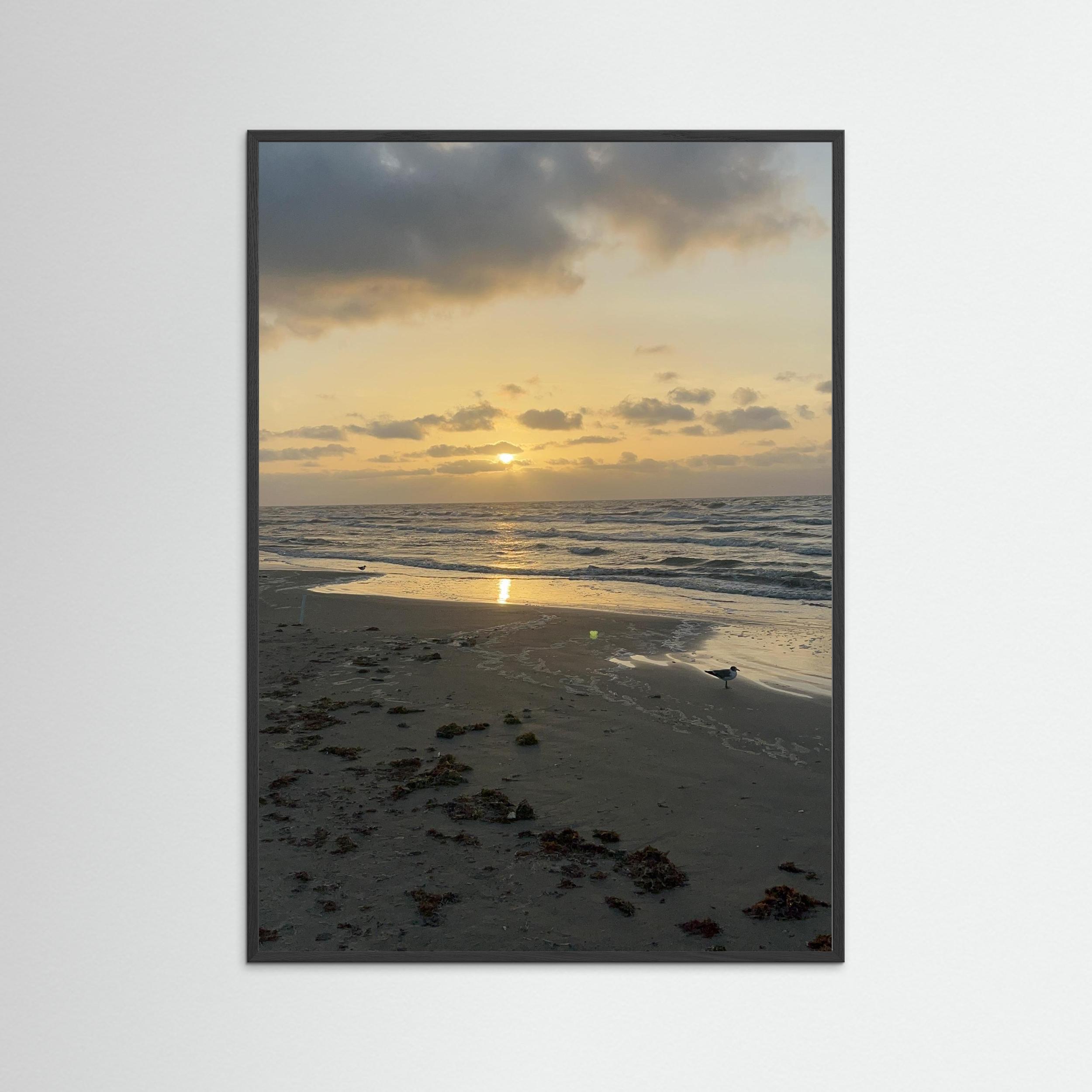 Sonnenbeschienen