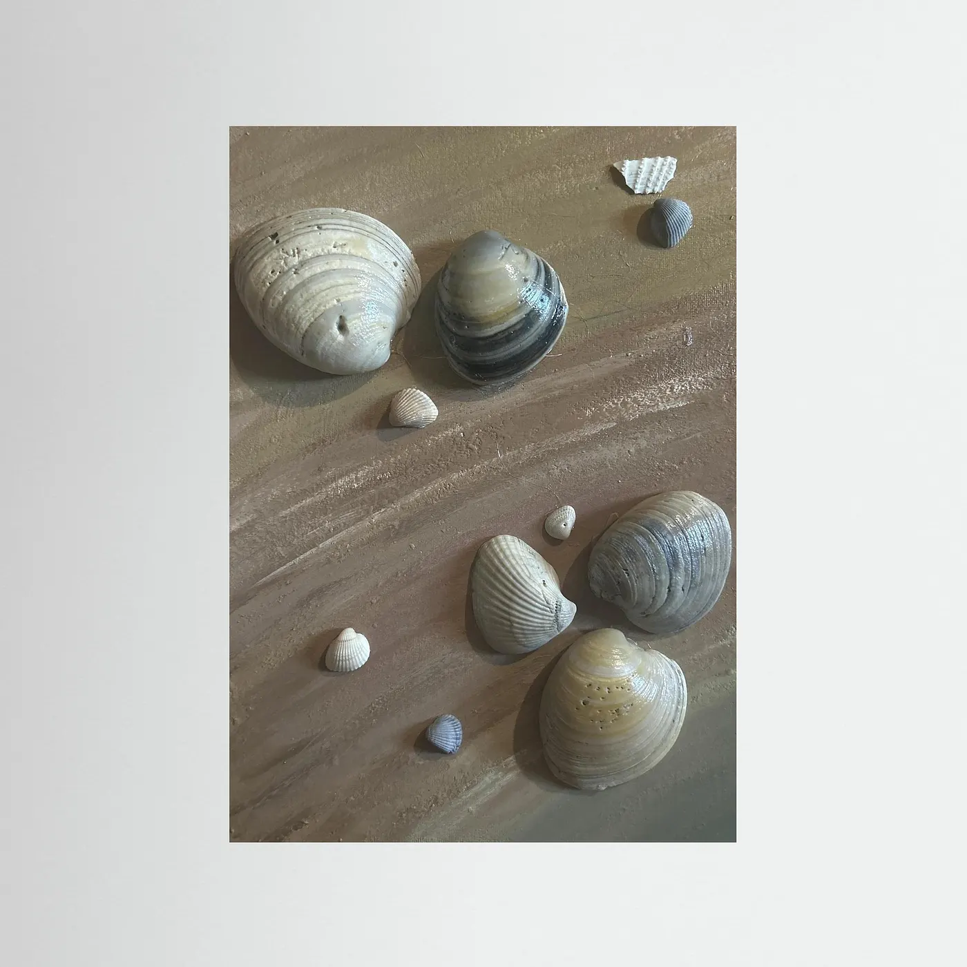 Muscheldorf