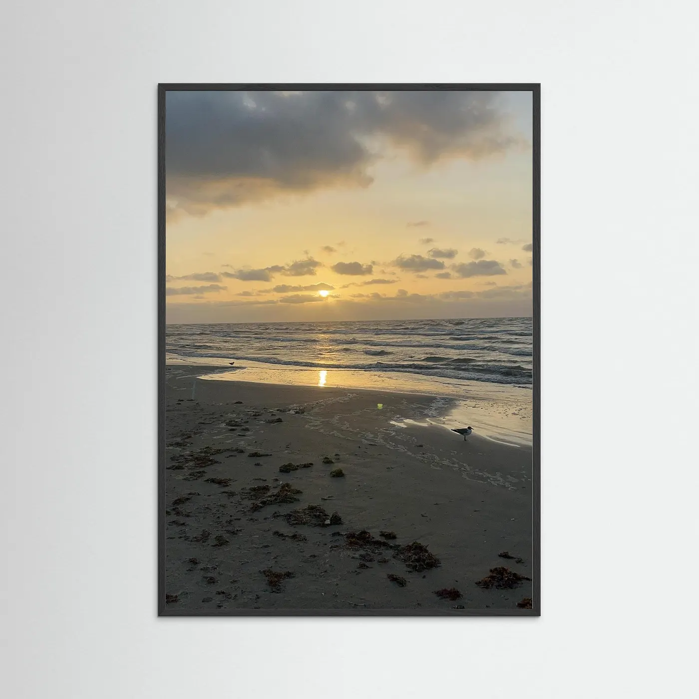 Sonnenbeschienen
